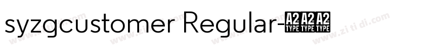 syzgcustomer Regular字体转换